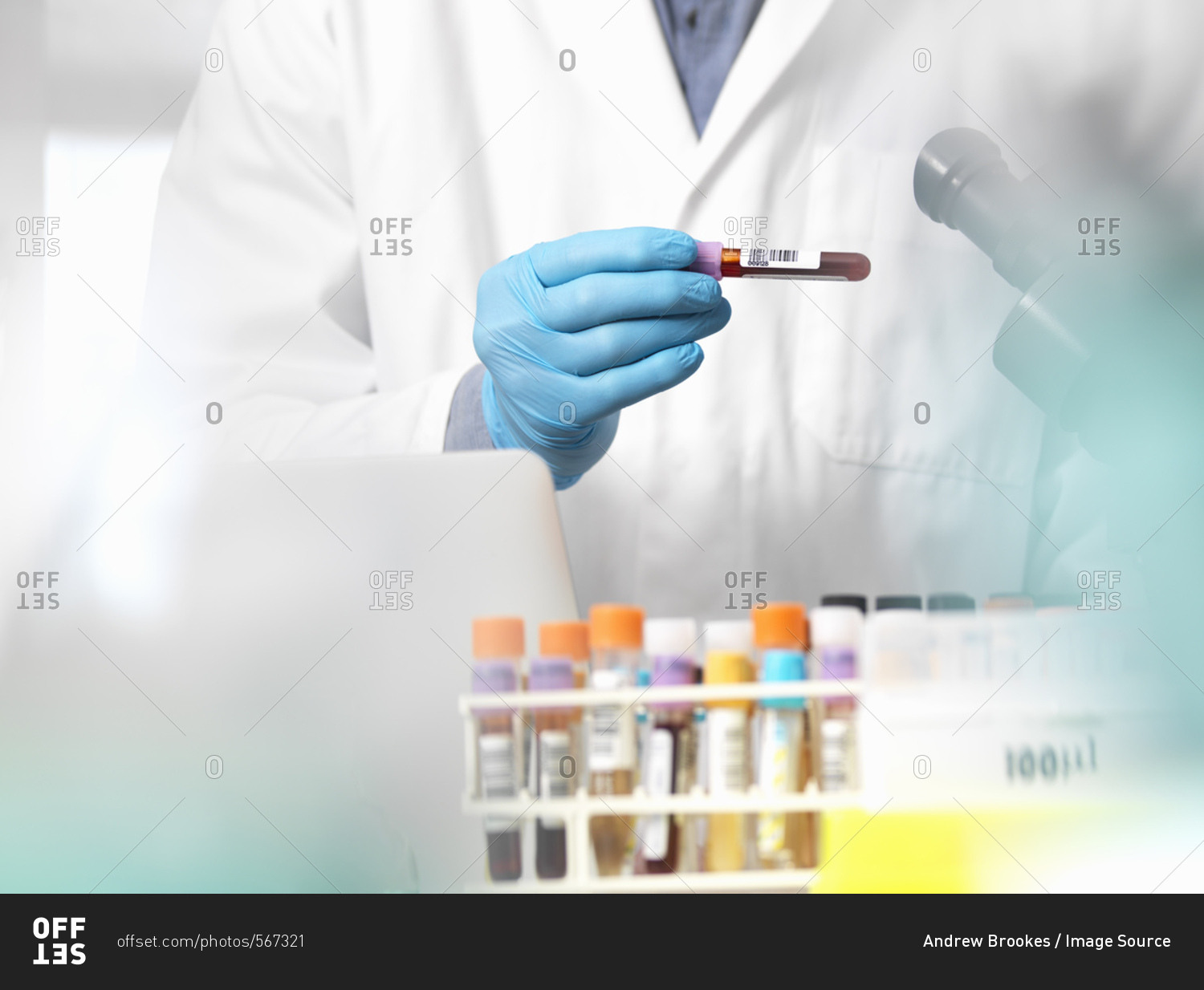 Scientist checking blood sample information ready for clinical testing in a laboratory