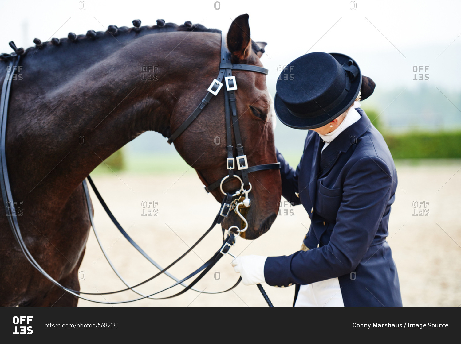 Female rider petting dressage horse in equestrian arena