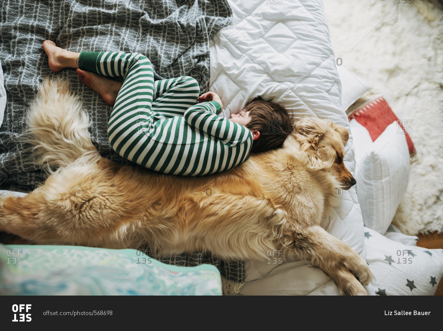 Young boy cuddling with golden retriever dog on a bed in the morning stock photo OFFSET