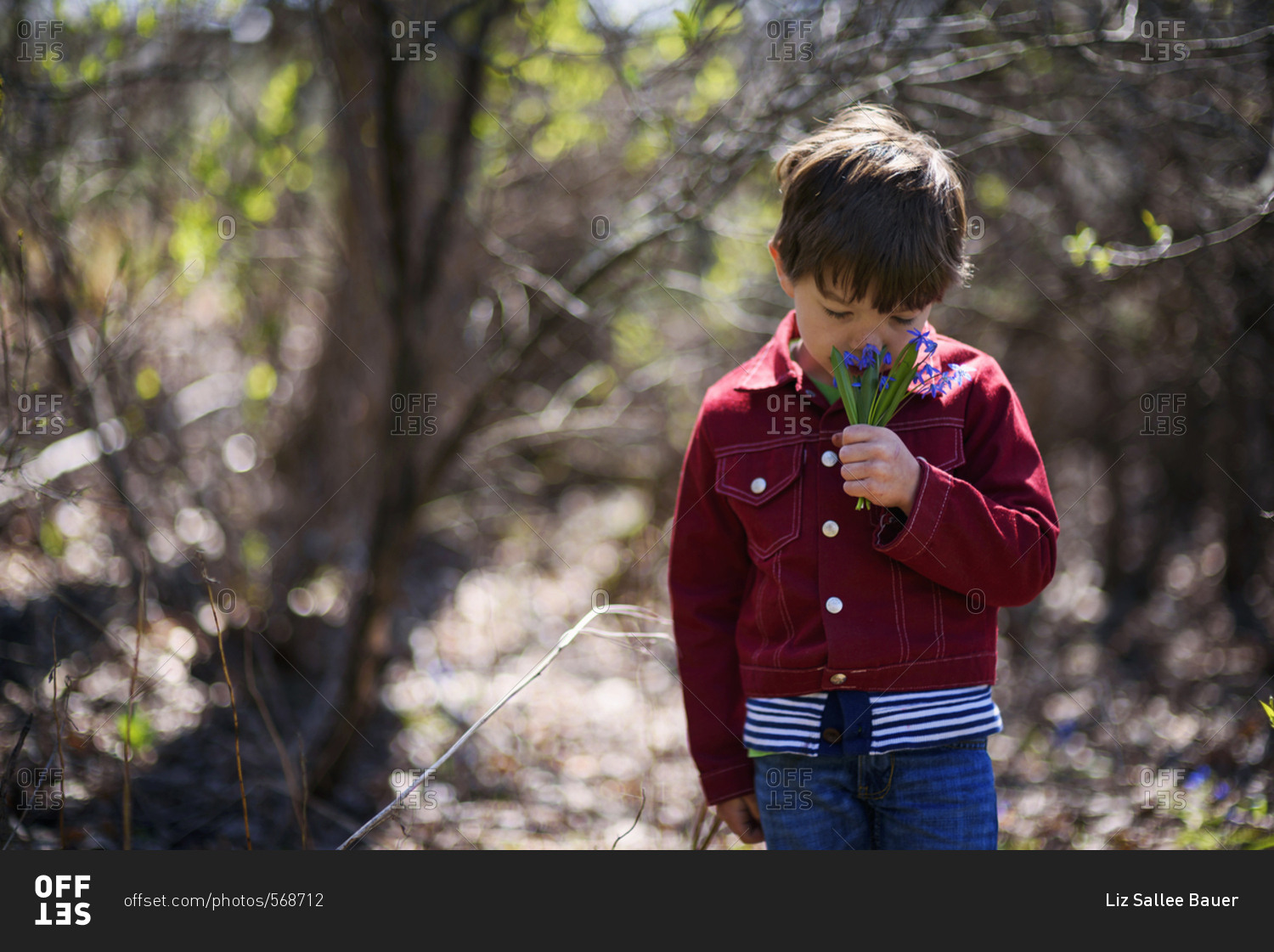 Young boy picking wild purple flowers in the spring