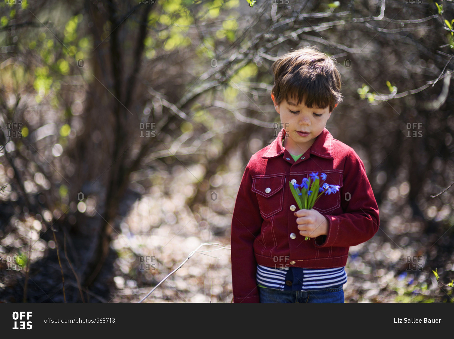 Young boy picking wild purple flowers in the spring