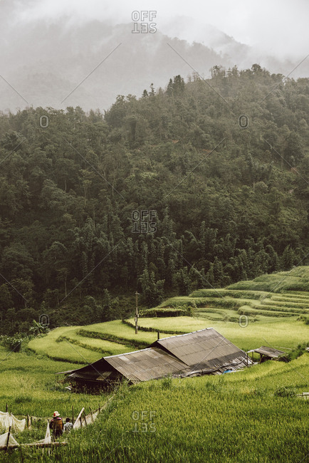 Beautiful landscape about terraced rice field in Sapa. Vietnam
