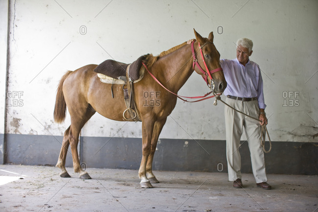 Senior man leading a horse