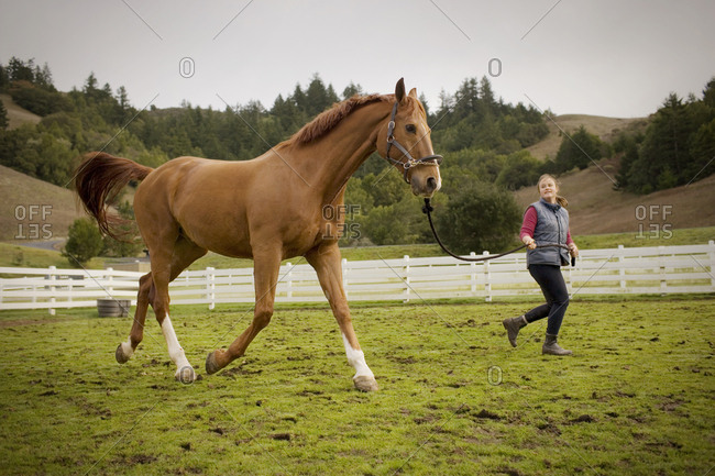 Teenage girl leading her horse in a field