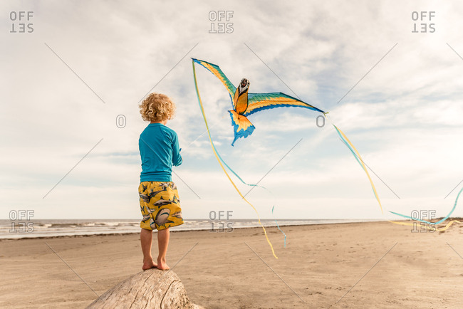 Boy flying parrot kite on a beach