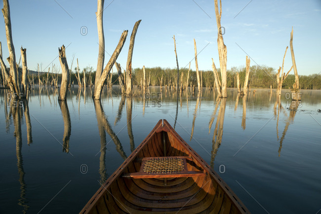 Sunrise canoe paddle on the flooded Otter Creek in Brandon, Vermont.