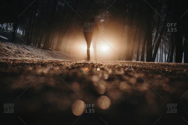 Horizontal indoors shot of silhouette of man standing in headlight in creepy winter forest