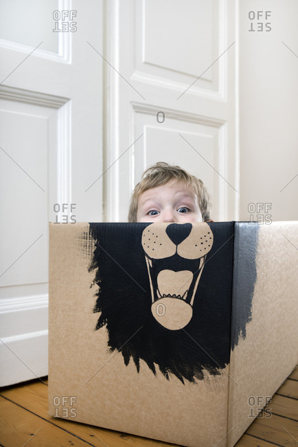 Boy inside a cardboard box painted with a lion