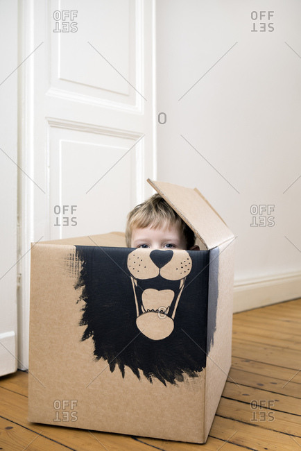 Boy inside a cardboard box painted with a lion