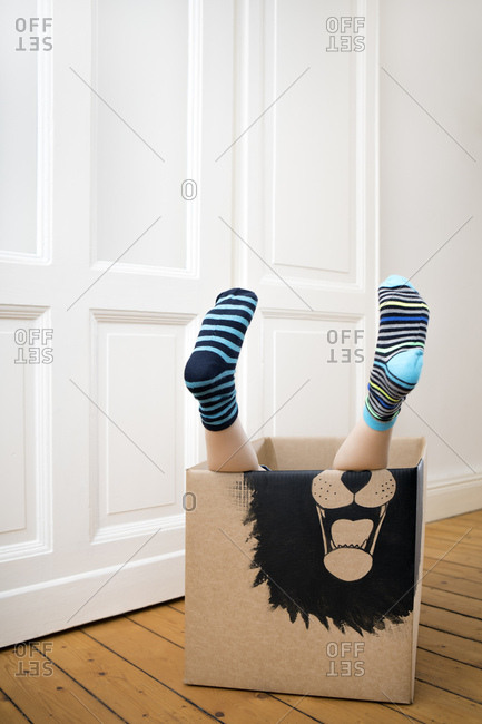 Legs of a boy inside a cardboard box painted with a lion