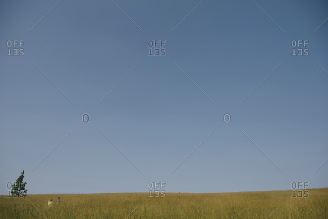 Distant view of siblings on grassy field against blue sky