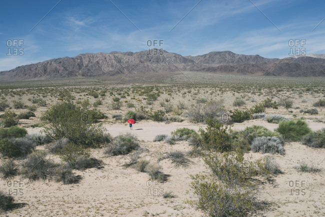 Mid distance view of boy with umbrella walking at Joshua Tree National Park