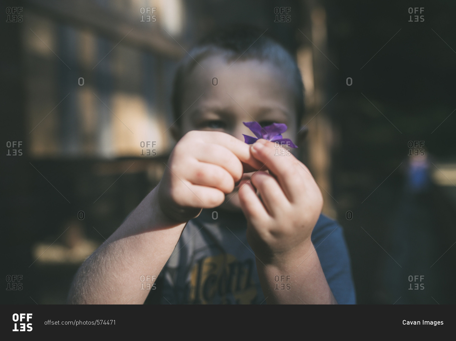 Boy holding purple flower outdoors
