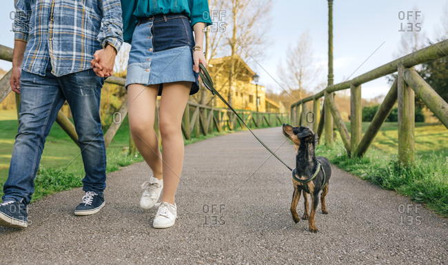 Young couple going walkies with dog- partial view