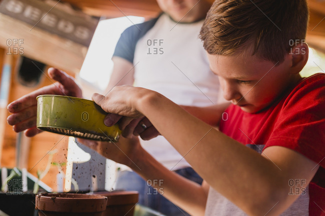 Father and son planting and sowing seeds