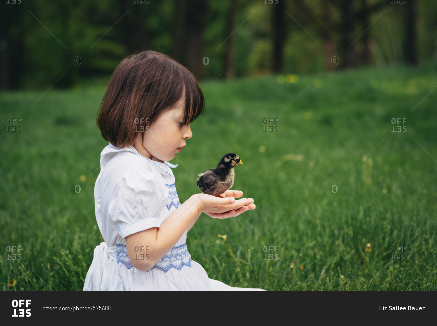 Young girl holding baby chick outside