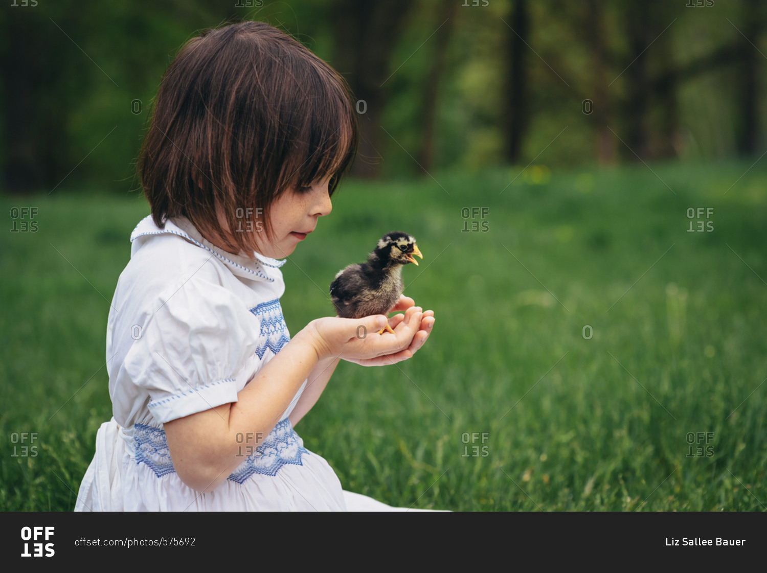 Young girl holding baby chick outside
