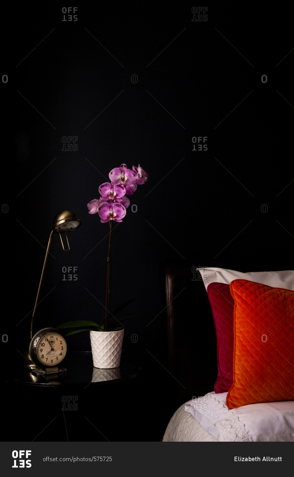 Nightstand with potted orchid, alarm clock, and lamp next to bed