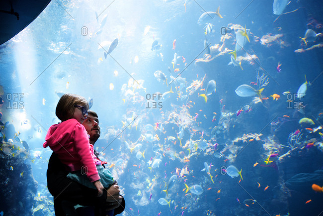 Father holding daughter at an aquarium