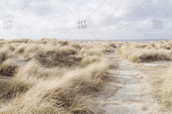 Trail through sand dunes