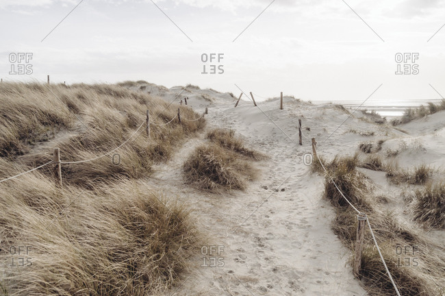 Sand dune trail by ocean