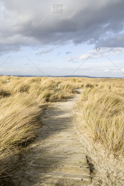 Wood walkway through sand dunes