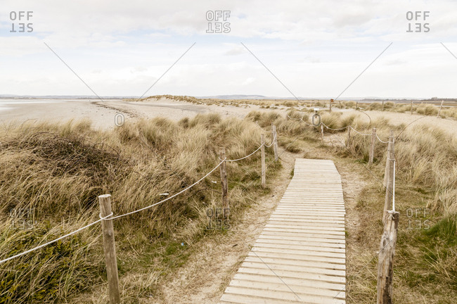 Path through coastal sand dunes