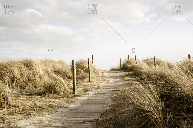 A boardwalk through sandy dunes