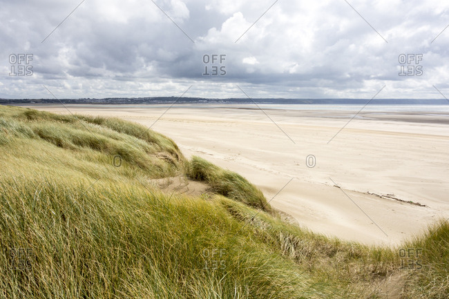 Sand dunes by a beach