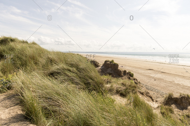 Beaches and grassy dunes by coast