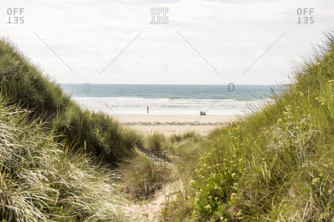 Beaches and grass dunes at sea