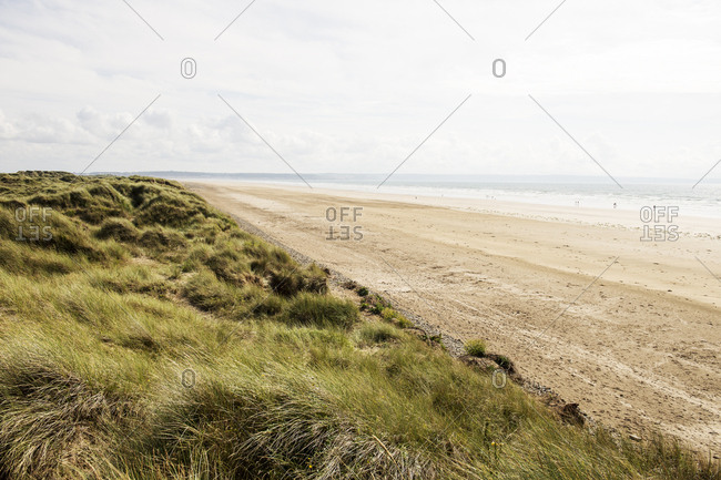 Beaches and grass dunes by sea