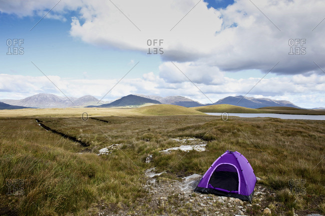 Purple Tent open in barren landscape