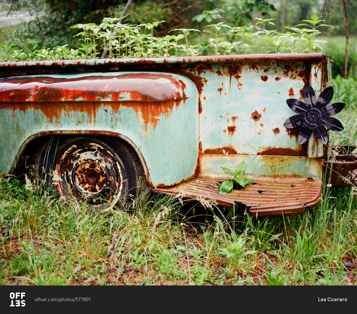 Abandoned rusted trailer overgrown with weeds