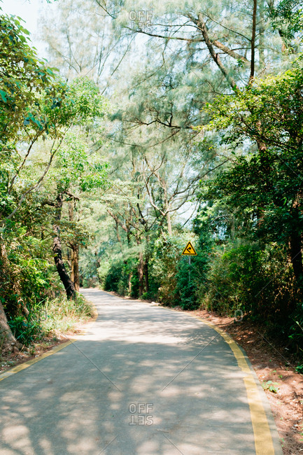Road in forest with a sudden turn warning signs