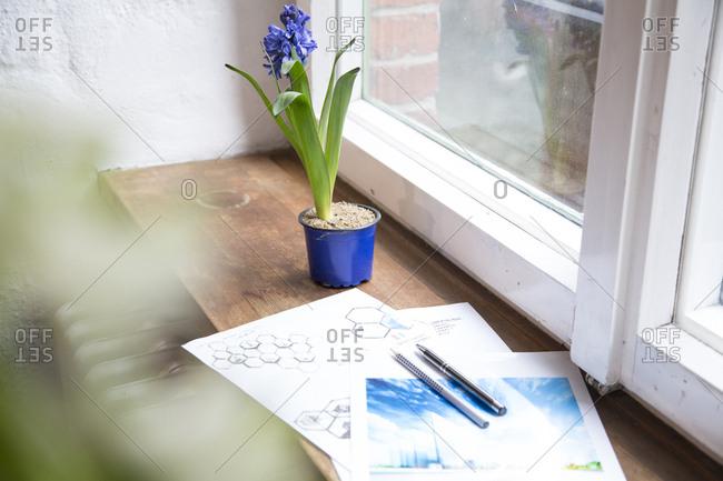 Draft and flower on windowsill in office
