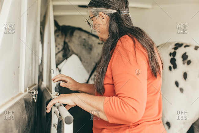 Woman getting horse onto a trailer