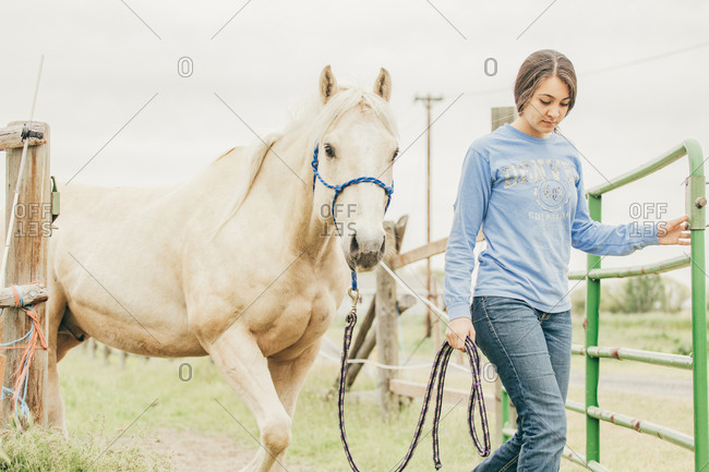 Girl leading horse out of a pen