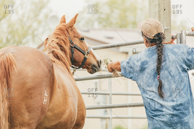 Man feeding horse in a pen