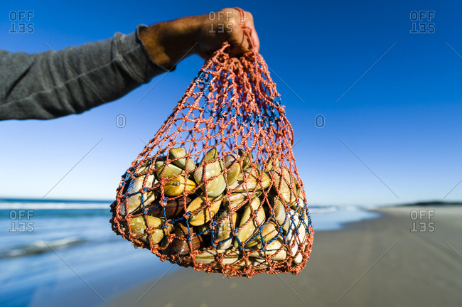 A woven bag carrying bi-valve shells called pipi harvested on a beach.