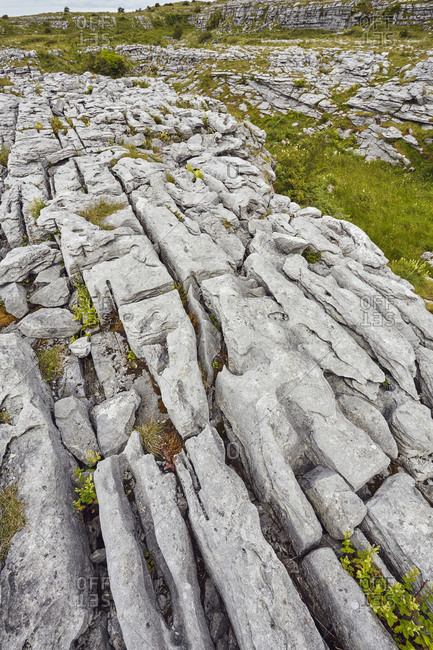 Patterns created by water erosion in limestone pavement.