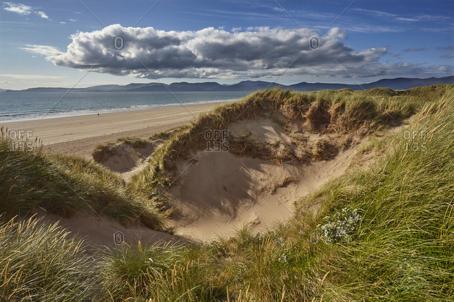 Sand dunes on Rossbeigh beach.