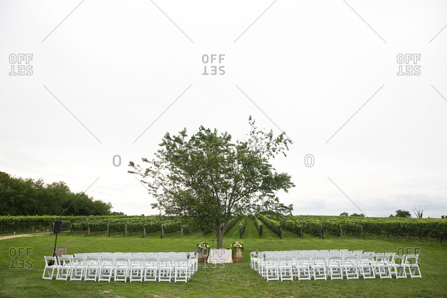 Wedding set up near a vineyard