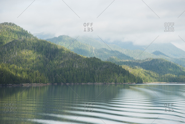 Dense green forest rises out of rippling ocean waters under a cloudy fall sky