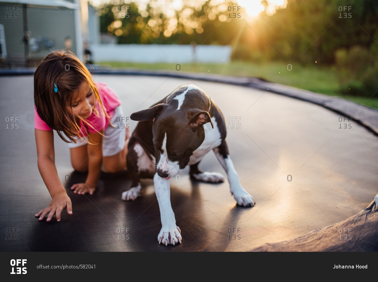 Girl playing on trampoline with her pet dog