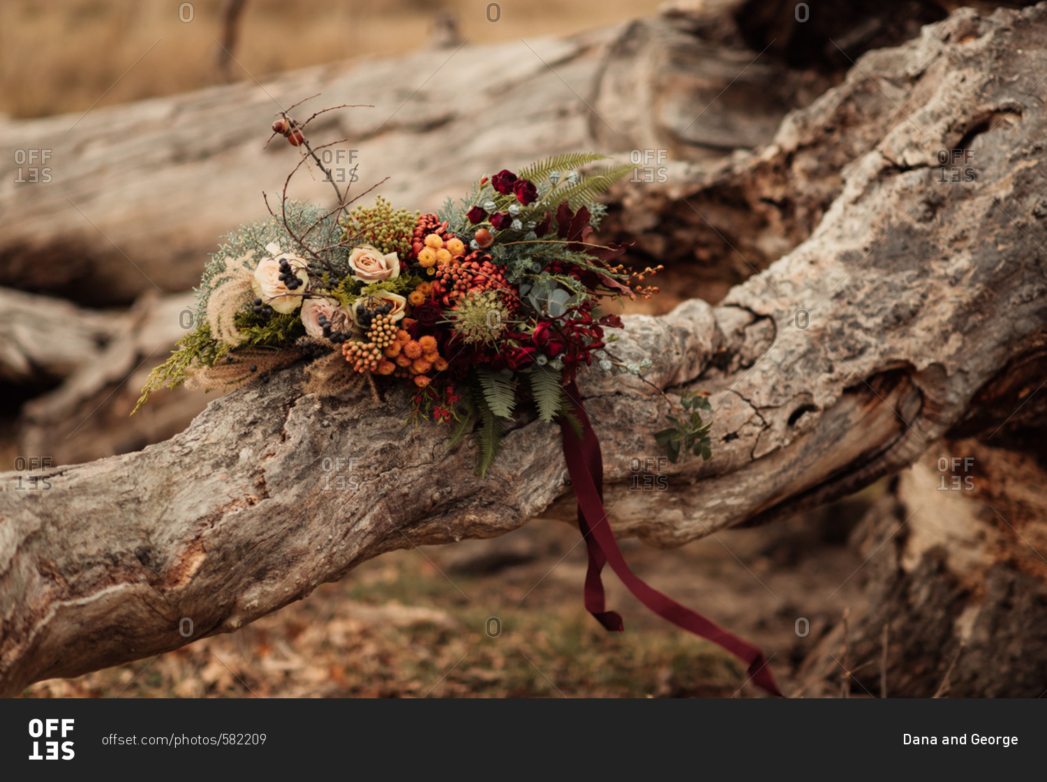 Woodland bouquet of flowers and plants resting on a weathered fallen log