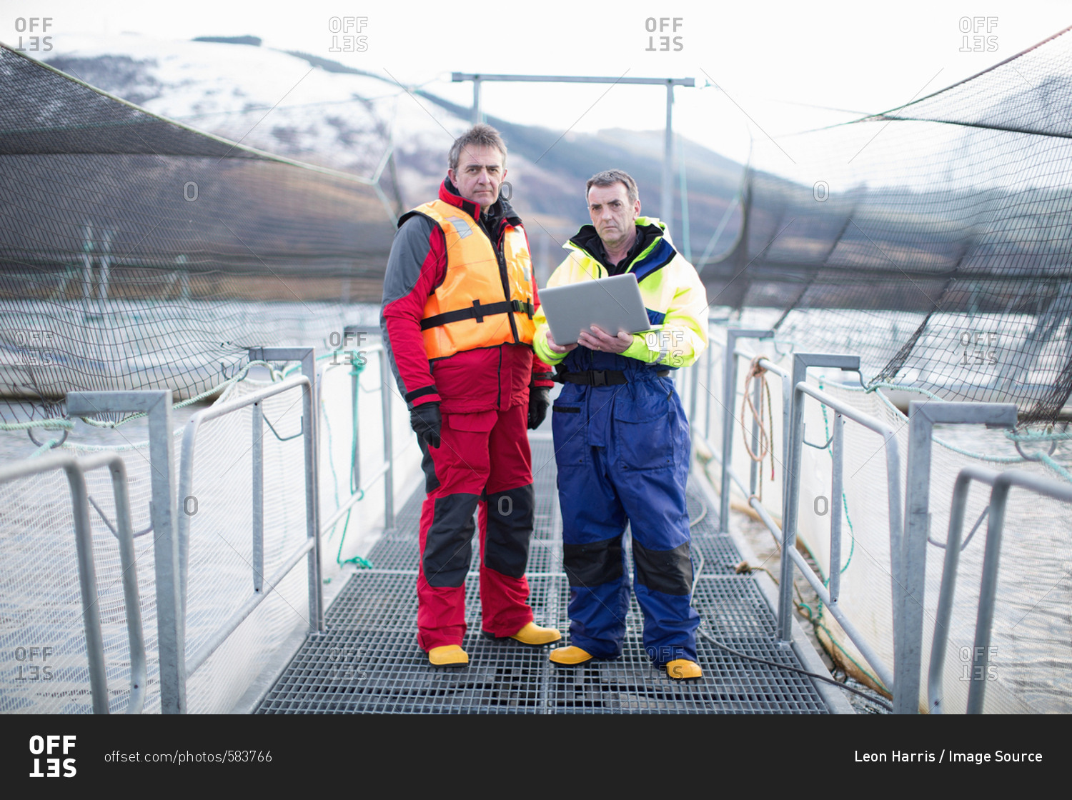 Workers using laptop at salmon farm