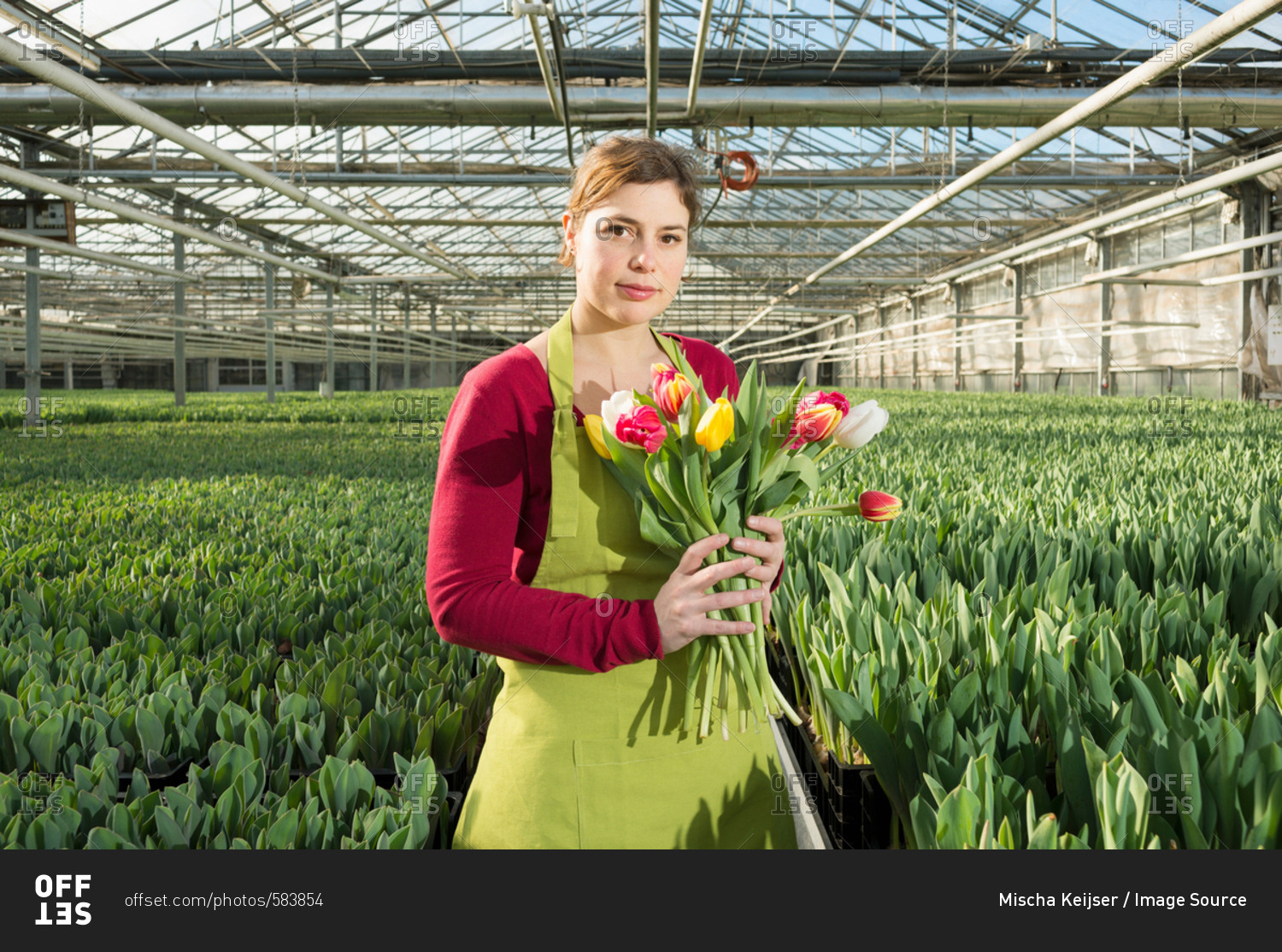 Woman holding bunch of tulips in greenhouse