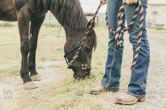Umatilla Reservation, Pendleton, Oregon - May 11, 2017: Woman standing with horse on the Umatilla Reservation in Oregon