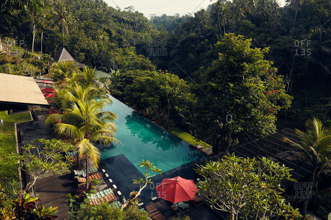 Resort with infinity pool in Ubud, Bali, Indonesia